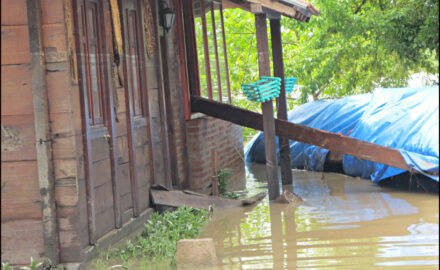 poplave