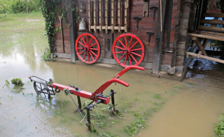 poplave