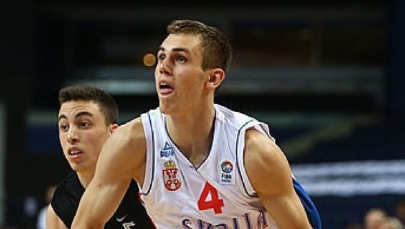 Nikola radičević