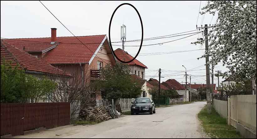 Kolektivno zračenje 1 antena
