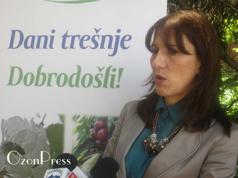 Dani trešnje u Institutu za voćarstvo 3 Sanja Radicevic