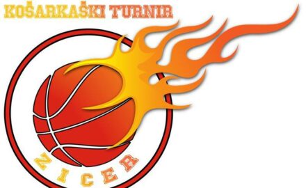 zicer logo