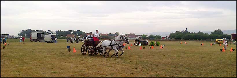 Održana 7. Parada fijakera 8 fijakeri-2