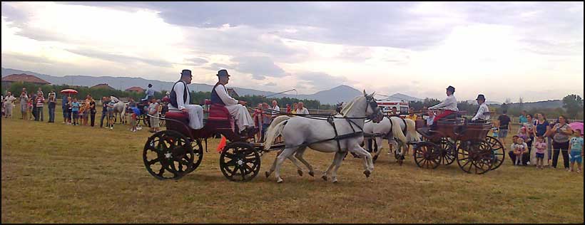 Održana 7. Parada fijakera 7 fijakeri-3