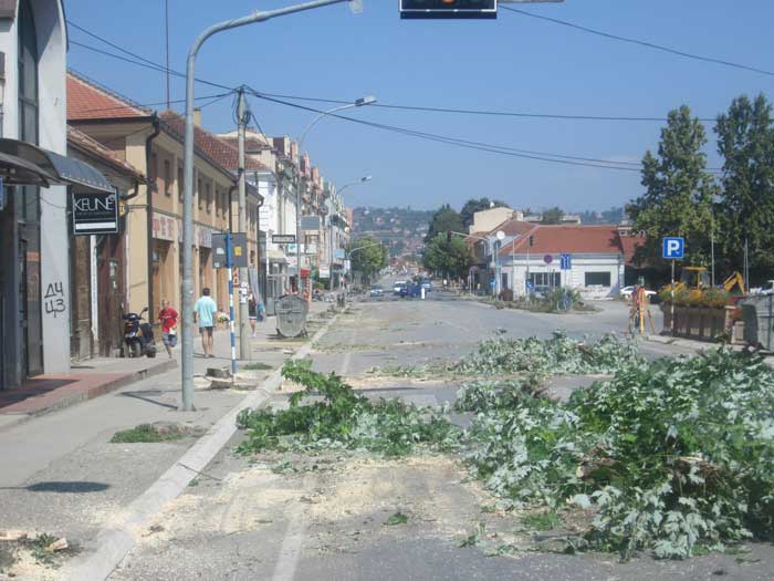 Počela izgradnja kružnog toka, posečeno drveće 2 kruzni-tok-3