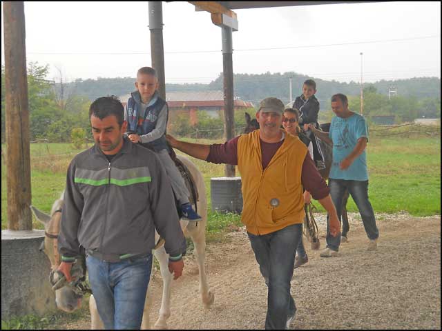 Dečja radost u Konjičkom klubu 4 ergela-4