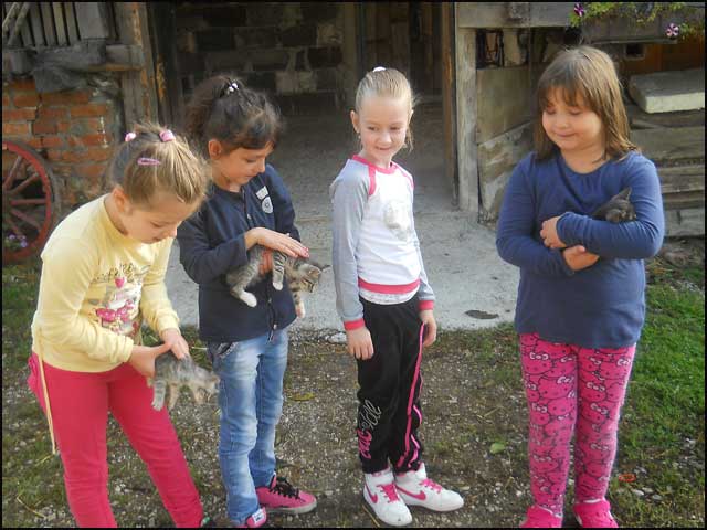 Dečja radost u Konjičkom klubu 7 ergela-9