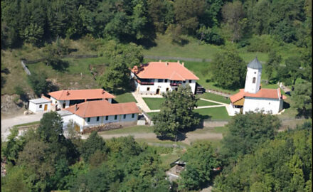 Vujan