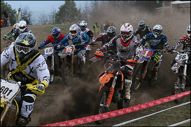 Decenije vredne ponosa 5 PORTAL-5-Start-Jeljen-danas