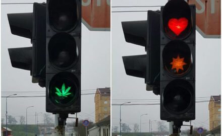 marihuana