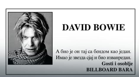 bouvi