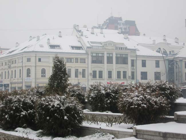 CACAK ZIMA