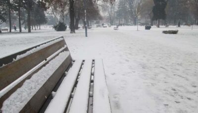 CACAK ZIMA