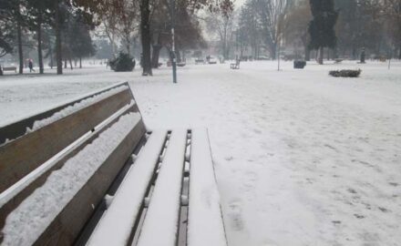 CACAK ZIMA