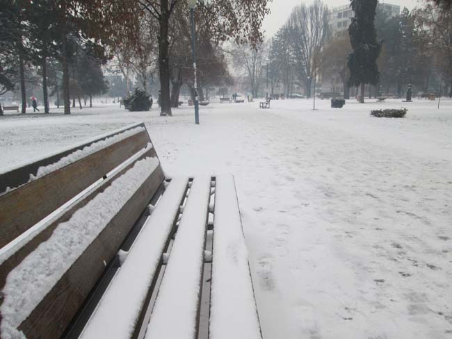 CACAK ZIMA