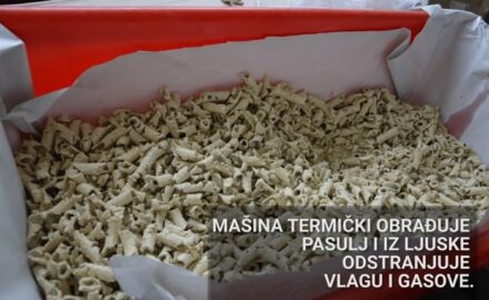 novi pasulj