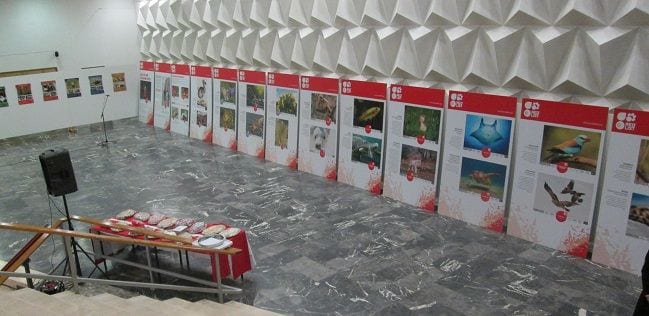Đaci organizovano na izlete u prirodu 4 ekologija