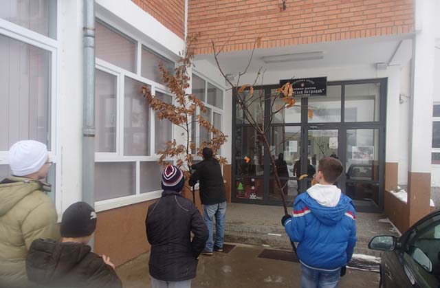 Đaci položili badnjak na školu 6 slatina, badnji dan