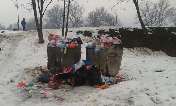 Smeće će bacati ispred opštine! 3 ljubic kej