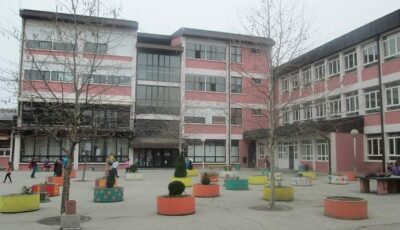 škola dragiša mišović