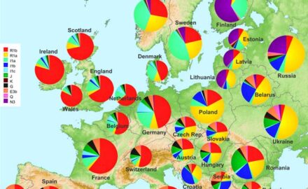 Genetska mapa