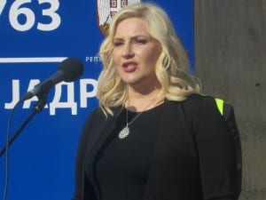 zorana mihajlovic savinac
