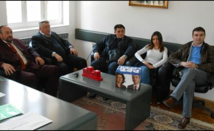 dveri-ivanjica-2
