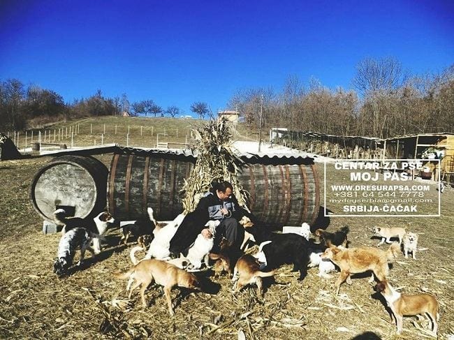 Druženje u Centru za napuštene pse 1 moj pas