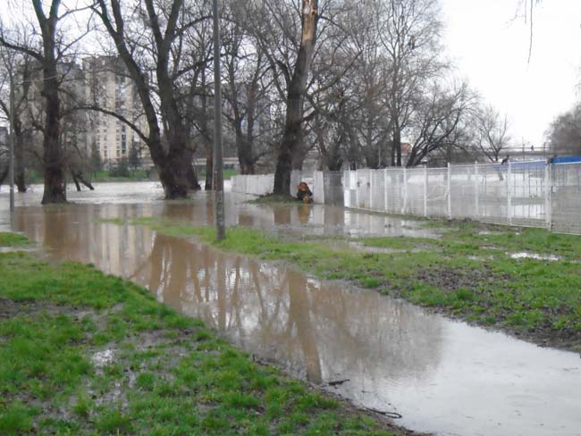 Morava stigla do bazena 1 morava2