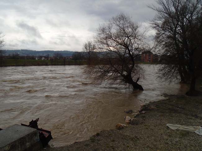 Morava stigla do bazena 4 morava5