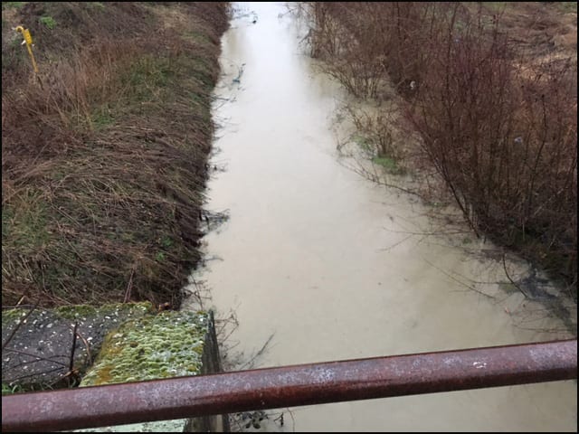 Da li će Kej ponovo biti poplavljen 8 poplavljeni-3