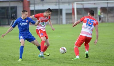 borac, kup srbije
