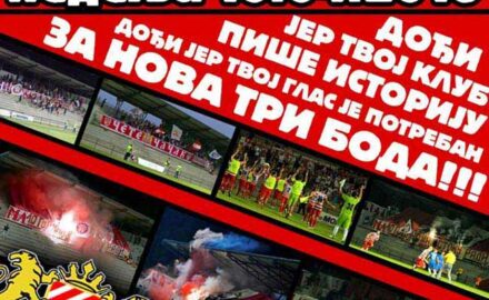 navijaci, zvezda