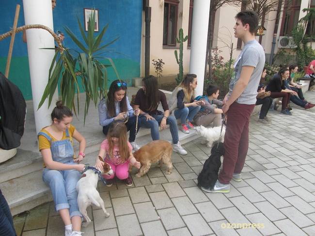 Izložba kućnih ljubimaca u Gimnaziji (FOTO) 14 gimnazija ljubimci