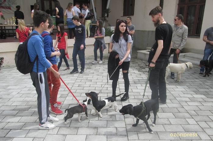 Izložba kućnih ljubimaca u Gimnaziji (FOTO) 13 gimnazija ljubimci