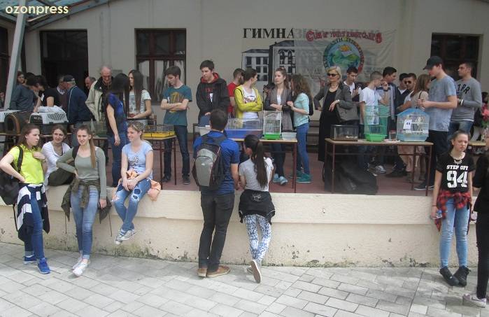 Izložba kućnih ljubimaca u Gimnaziji (FOTO) 12 gimnazija ljubimci