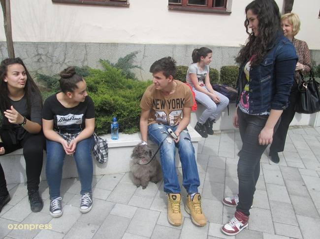 Izložba kućnih ljubimaca u Gimnaziji (FOTO) 11 gimnazija ljubimci