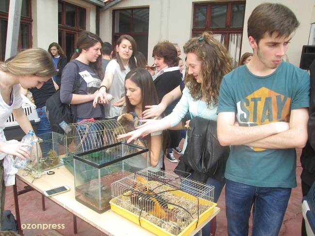 Izložba kućnih ljubimaca u Gimnaziji (FOTO) 2 gimnazija ljubimci