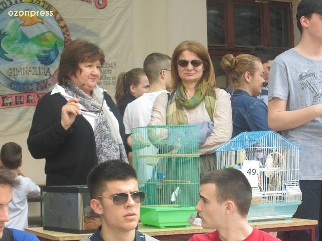Izložba kućnih ljubimaca u Gimnaziji (FOTO) 10 gimnazija ljubimci