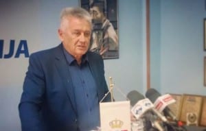 velimir ilic