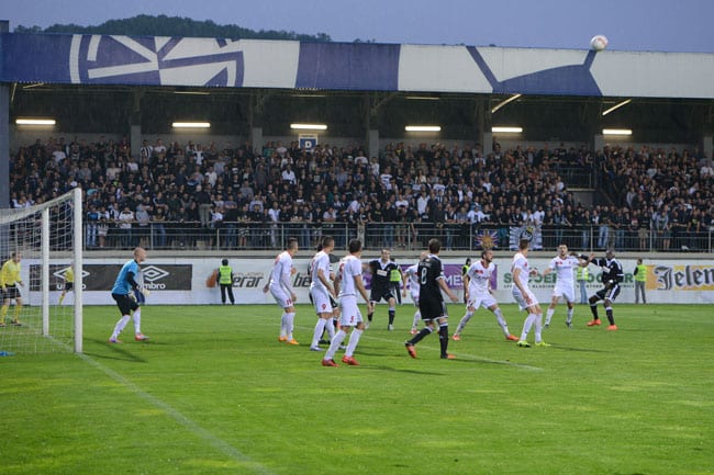 Partizan osvojio Kup! 2 partizan javor