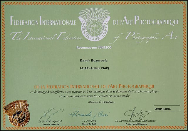 Damir-AFIAP-diploma