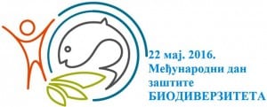 biodan-3