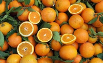 pomorandze