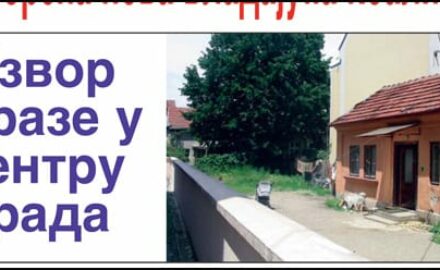 508_Layout 1