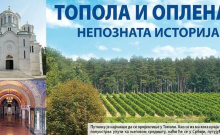 Topola plakat B2