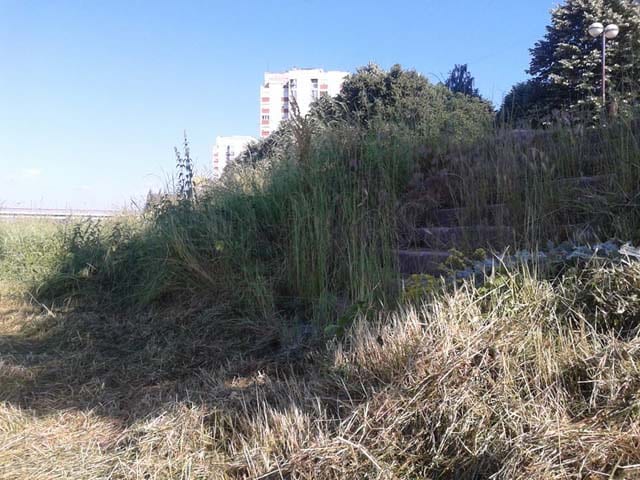 morava_kej2