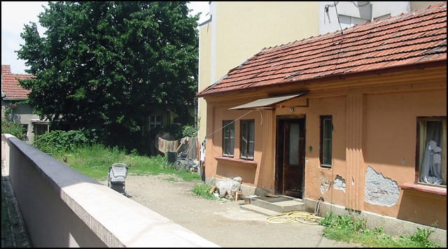 zaraza-2