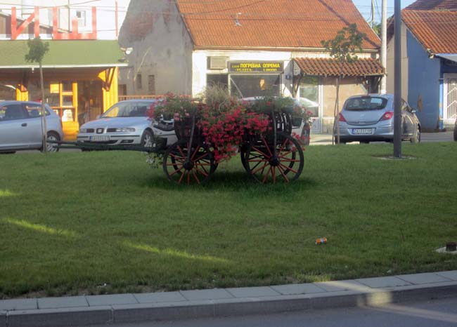 zelenilo