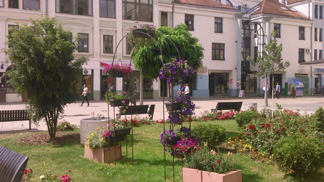 Novi ukrasi Gradskog zelenila (FOTO) 5 zelenilo1